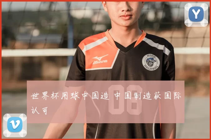 世界杯用球中国造 中国制造获国际认可