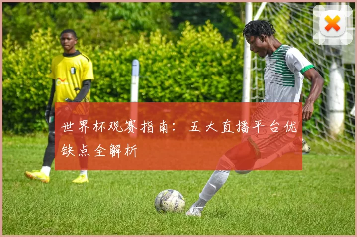 世界杯观赛指南:五大直播平台优缺点全解析
