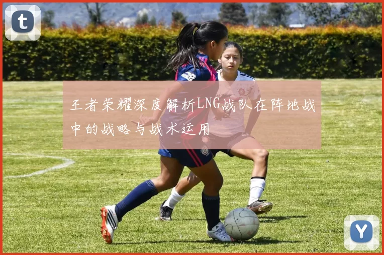 王者荣耀深度解析LNG战队在阵地战中的战略与战术运用
