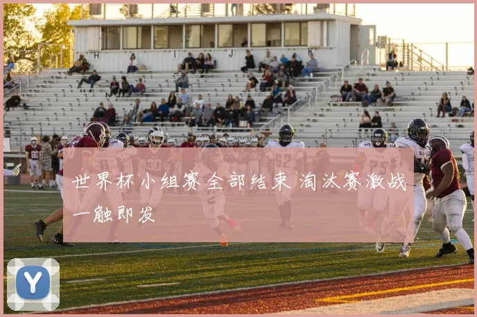 世界杯小组赛全部结束 淘汰赛激战一触即发