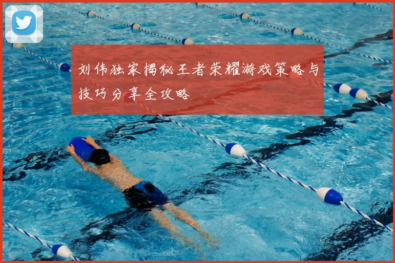 刘伟独家揭秘王者荣耀游戏策略与技巧分享全攻略