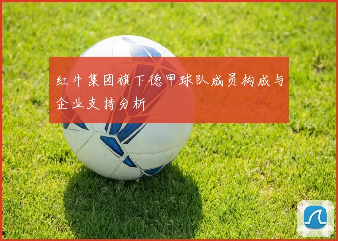 红牛集团旗下德甲球队成员构成与企业支持分析