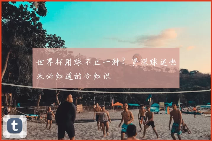 世界杯用球不止一种?资深球迷也未必知道的冷知识