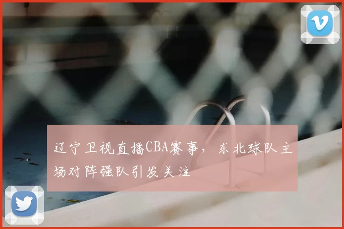 辽宁卫视直播CBA赛事,东北球队主场对阵强队引发关注