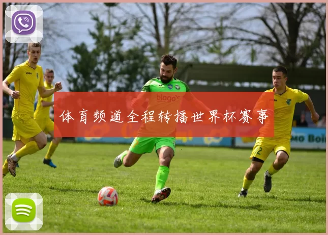 体育频道全程转播世界杯赛事