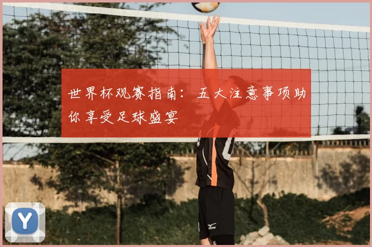 世界杯观赛指南:五大注意事项助你享受足球盛宴