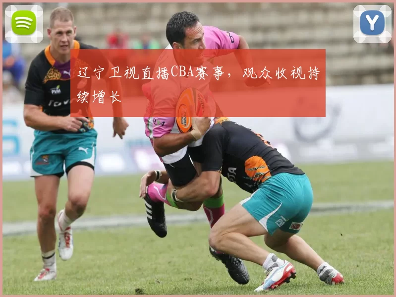 辽宁卫视直播CBA赛事，观众收视持续增长