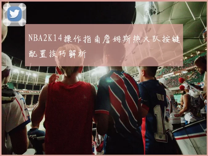 NBA2K14操作指南詹姆斯热火队按键配置技巧解析