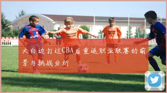 大白边打过CBA后重返职业联赛的前景与挑战分析