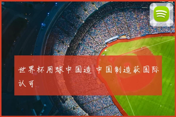 世界杯用球中国造 中国制造获国际认可