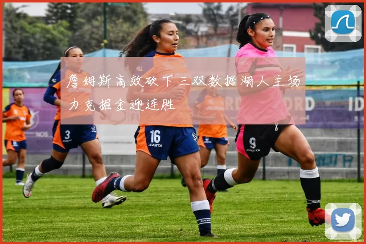 詹姆斯高效砍下三双数据湖人主场力克掘金迎连胜
