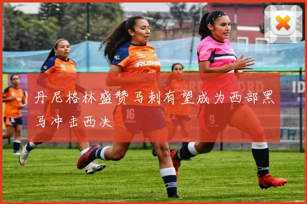 丹尼格林盛赞马刺有望成为西部黑马冲击西决